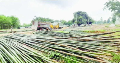 Tangail bamboo market booms with Tk 1.5cr in sales a month Tangail bamboo market booms with Tk 1.5cr in sales a month