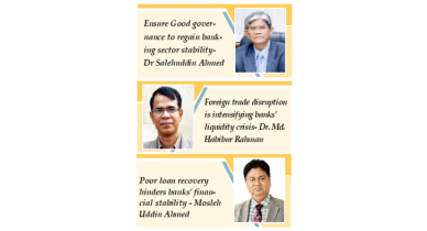 Banking sector stability becoming a bookish term