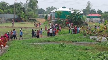 টাঙ্গাইলে ফার্ম কর্মচারীকে জবাই করে হত্যা