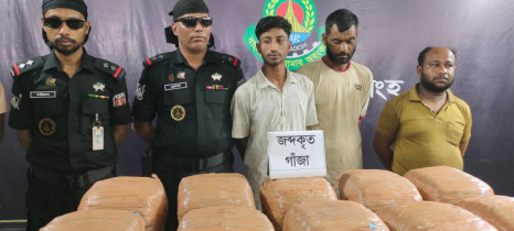 টাঙ্গাইলে ৪৯ কেজি গাঁজা উদ্ধার, গ্রেপ্তার ৩
