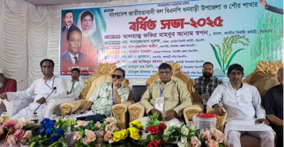 বিএনপি’র সাথে অন্য কোন দলের দ্বন্দ্ব নেই: মাহবুব আনাম স্বপন