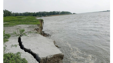 অসময়ে যমুনায় শুরু হয়েছে তীব্র ভাঙন, দিশেহারা টাঙ্গাইলের নদীপাড়ের মানুষ!