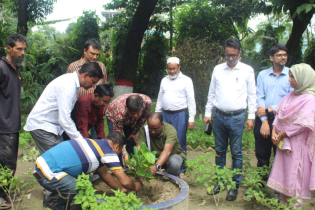 জীবন ও জীবিকার জন্য বৃক্ষ অপরিহার্য: প্রকৌশলী কামরুজ্জামান
