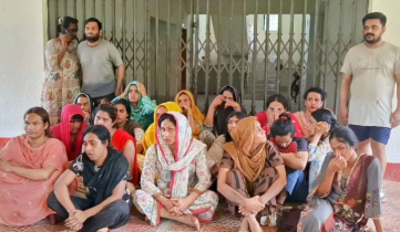 দুর্গাপুর সীমান্ত দিয়ে ২১ জনকে পুশইন করেছে বিএসএফ