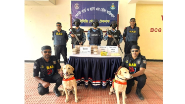 টেকনাফে প্রায় সাড়ে ১২ কোটি টাকা মূল্যের ইয়াবা জব্দ