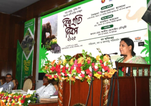 হাতি সংরক্ষণে আবাসস্থল রক্ষা, করিডোর মুক্তকরণ ও সচেতনতা জরুরি: রিজওয়ানা