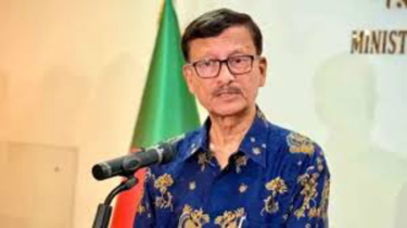 বিদেশি ভিসা বন্ধের জন্য আমরাই দায়ী : পররাষ্ট্র উপদেষ্টা