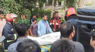 মাদারীপুরে গরুবাহী ট্রাক দুর্ঘটনায় ব্যবসায়ী নিহত