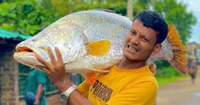 টেকনাফের নাফ নদীতে ধরা পড়ল ২৬ কেজি ওজনের কোরাল 