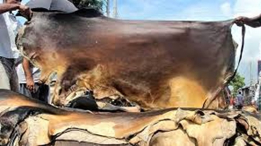 চামড়া শিল্পে আন্তর্জাতিক স্বীকৃতির সংকট