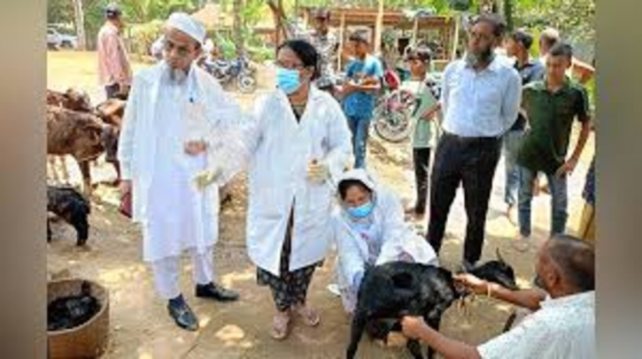 সরকারি ভ্যাকসিনে অর্ধশত গরু-ছাগলের মৃত্যু, তদন্তে মেডিকেল টিম সরকারি ভ্যাকসিনে অর্ধশত গরু-ছাগলের মৃত্যু, তদন্তে মেডিকেল টিম