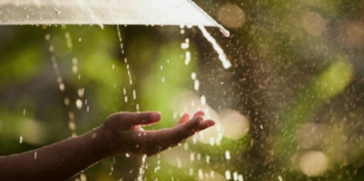 Rain with gusty wind likely in parts of country Rain with gusty wind likely in parts of country
