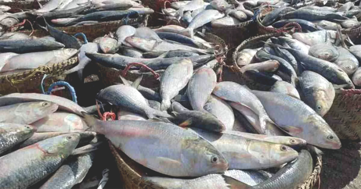 ’Introduce e-traceability system in fishery sector for export promotion’