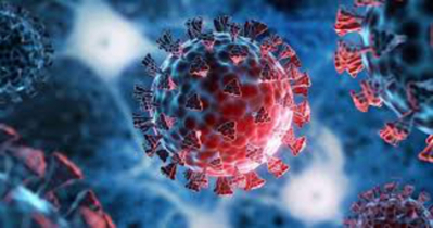 Six new COVID-19 cases reported in 24 hours