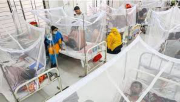 Dengue: 151 fresh cases reported in 24hrs