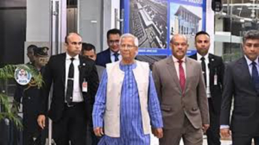 CA returns to Dhaka from UNGA summit
