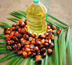 Govt cuts loose palm oil price by Tk19