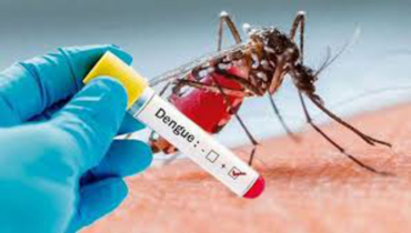 Dengue Cases Rising in N’ganj Amid Rain