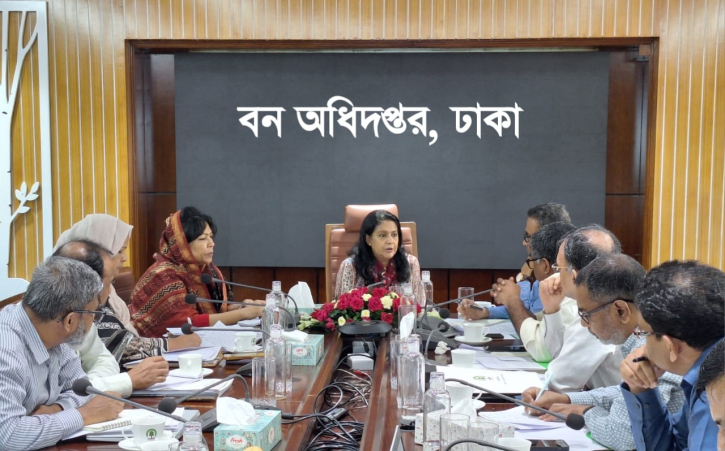 Govt to comprehensive plan to increase forest coverage to 20pc: Rizwana