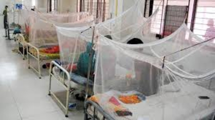 Dengue: 5 more die, 629 hospitalised in 24hrs Dengue: 5 more die, 629 hospitalised in 24hrs