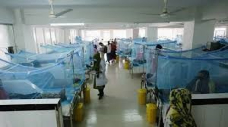 One dengue patient dies, 264 hospitalized in last 24 hrs One dengue patient dies, 264 hospitalized in last 24 hrs