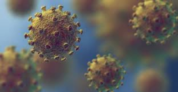 How threatening is the new virus? How threatening is the new virus?