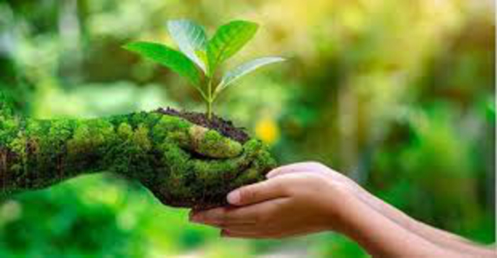World Environment Day being observed with call to beat plastic pollution