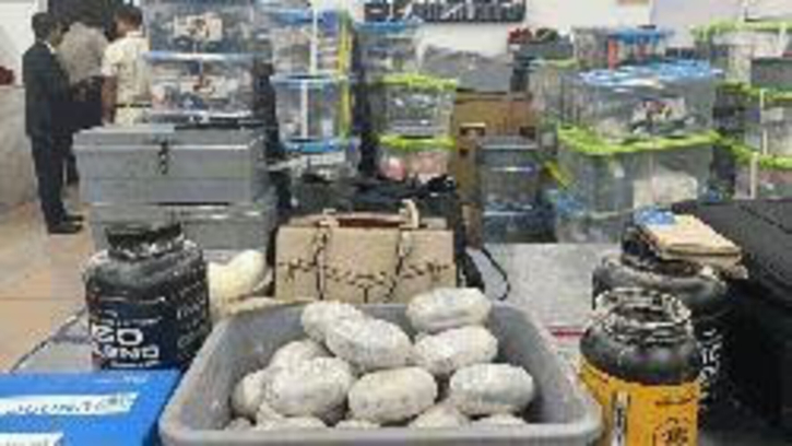 Guyanese woman caught smuggling Tk 130 crore of cocaine at Dhaka Airport